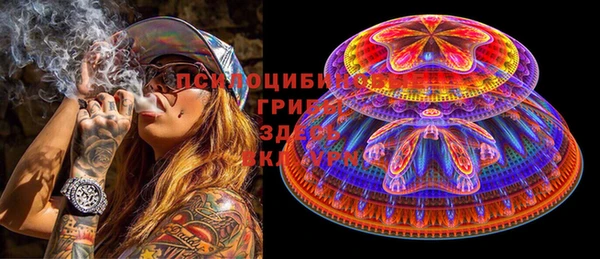 гашик Михайлов