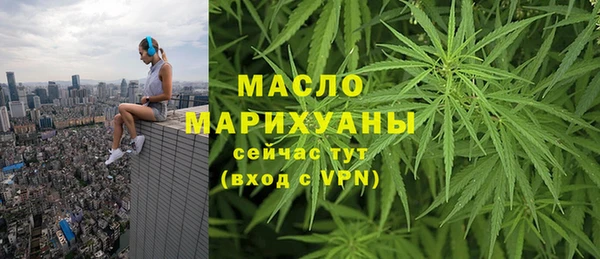 гашик Михайлов