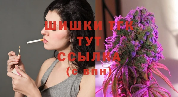 гашик Михайлов