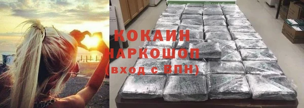гашик Михайлов