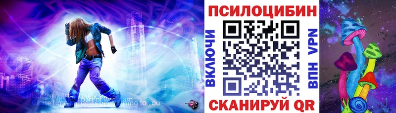 Купить  Почеп  Галлюциногенные грибы ЛСД 
